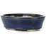 Vaso bonsai ovale blu di Seto - 100 x 75 x 25 mm