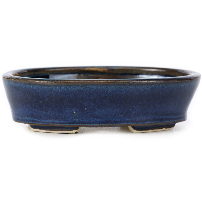 Maceta de bonsái azul ovalada de Seto - 100 x 75 x 25 mm
