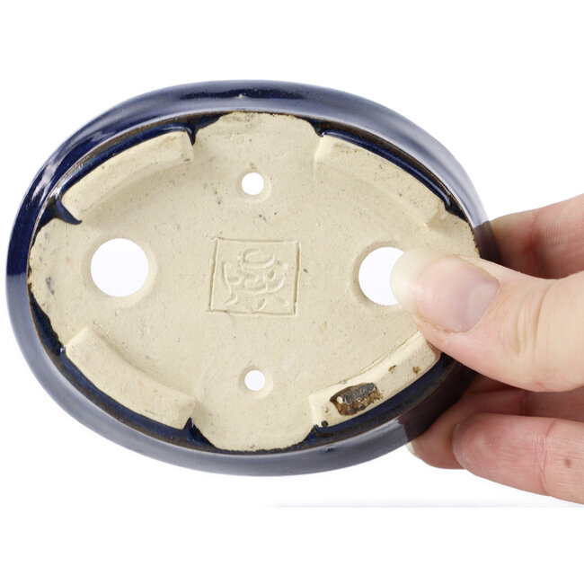 Maceta de bonsái azul ovalada de Seto - 100 x 75 x 25 mm