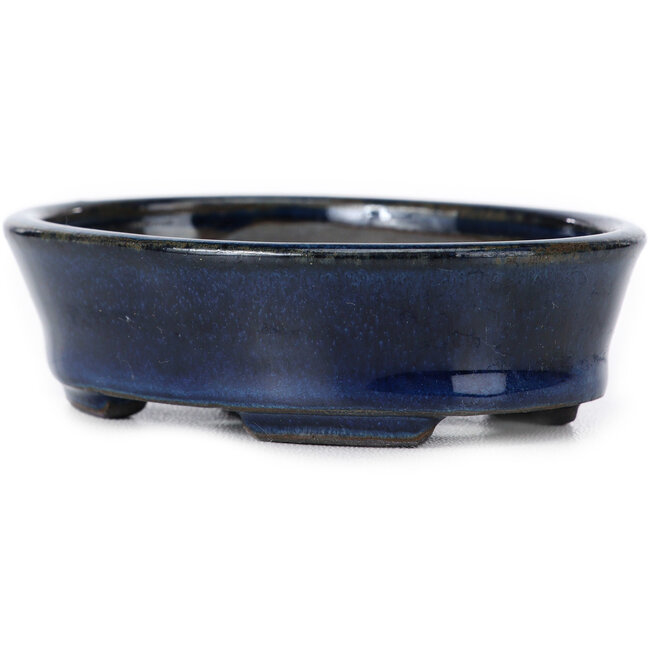 Oval blue bonsai pot by Seto - 100 x 75 x 25 mm