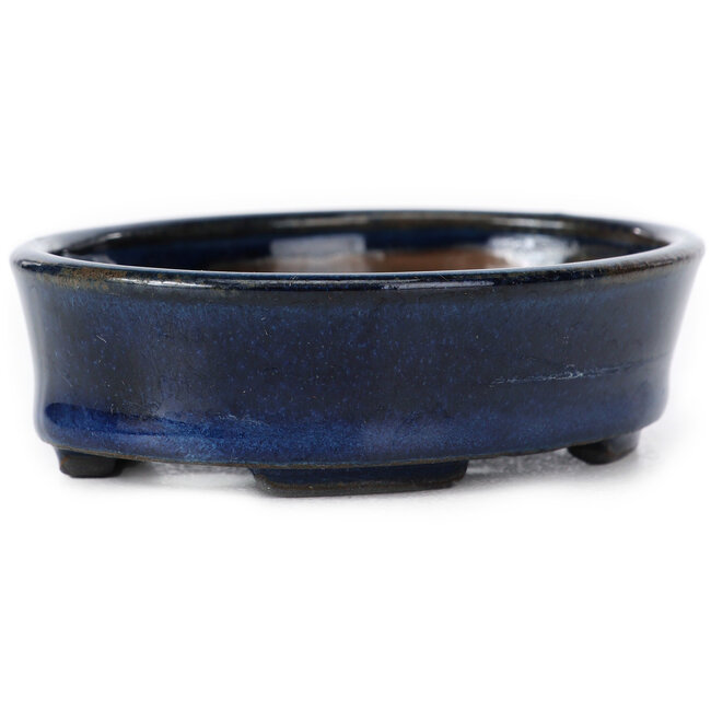 Maceta de bonsái azul ovalada de Seto - 100 x 75 x 25 mm