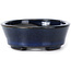 Ovale blaue Bonsaischale von Seto - 100 x 75 x 25 mm