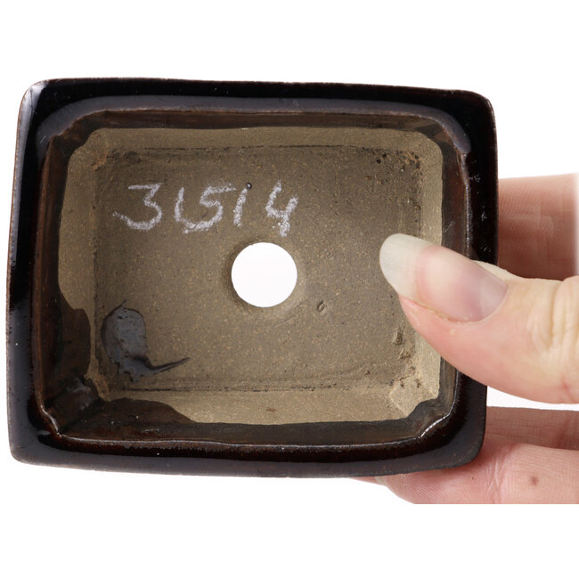 Maceta de bonsái marrón rectangular de Seto - 80 x 65 x 30 mm