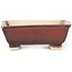 Pot à bonsaï rectangulaire marron par Seto - 75 x 65 x 25 mm
