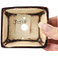 Rechthoekige bruine bonsaipot van Seto - 75 x 65 x 25 mm