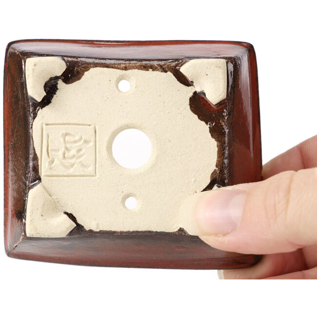 Maceta de bonsái marrón rectangular de Seto - 75 x 65 x 25 mm