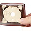 Pot à bonsaï rectangulaire marron par Seto - 75 x 65 x 25 mm
