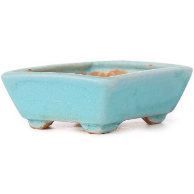 Vaso bonsai blu rettangolare di Seto - 70 x 60 x 25 mm