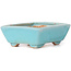 Pot à bonsaï rectangulaire bleu par Seto - 70 x 60 x 25 mm