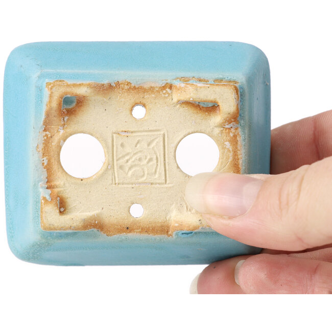 Maceta de bonsái rectangular azul de Seto - 70 x 60 x 25 mm