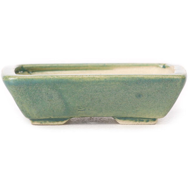 Maceta de bonsái verde rectangular de Seto - 80 x 70 x 20 mm