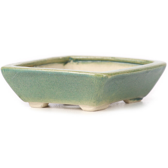 Vaso bonsai verde rettangolare di Seto - 80 x 70 x 20 mm