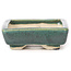 Pot à bonsaï vert rectangulaire par Seto - 85 x 70 x 20 mm