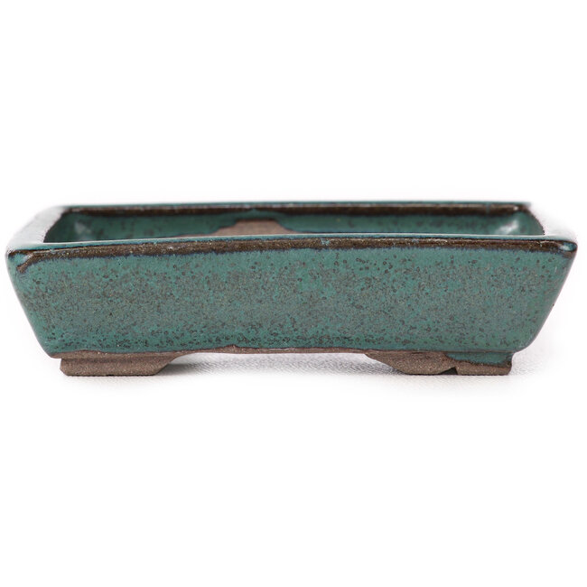 Maceta de bonsái verde rectangular de Seto - 85 x 55 x 20 mm