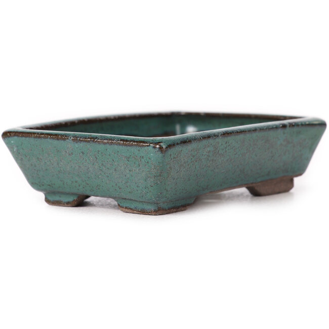 Pot à bonsaï vert rectangulaire par Seto - 85 x 55 x 20 mm