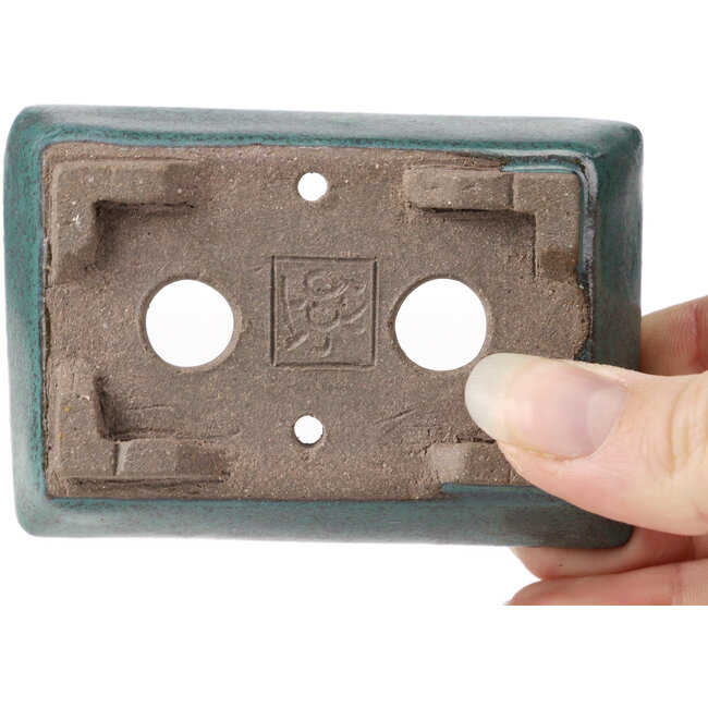 Maceta de bonsái verde rectangular de Seto - 85 x 55 x 20 mm