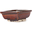 Pot à bonsaï rectangulaire marron par Seto - 85 x 70 x 30 mm