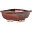 Pot à bonsaï rectangulaire marron par Seto - 85 x 70 x 30 mm