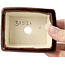 Pot à bonsaï rectangulaire marron par Seto - 85 x 70 x 30 mm