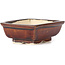 Vaso bonsai marrone rettangolare di Seto - 85 x 70 x 30 mm