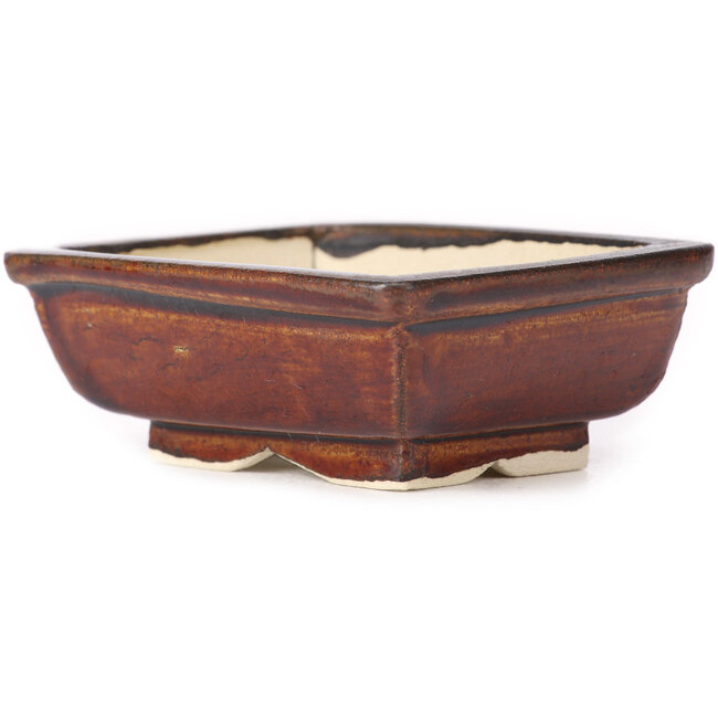 Vaso bonsai marrone rettangolare di Seto - 85 x 70 x 30 mm