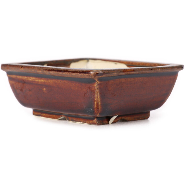 Vaso bonsai marrone rettangolare di Seto - 80 x 70 x 30 mm