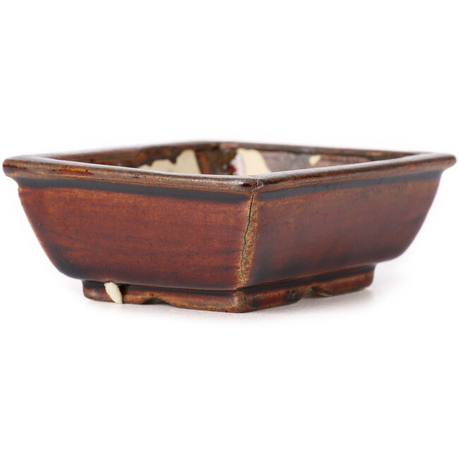Vaso bonsai marrone rettangolare di Seto - 80 x 70 x 30 mm