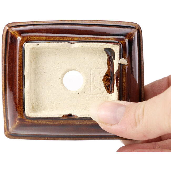 Pot à bonsaï rectangulaire marron par Seto - 80 x 70 x 30 mm