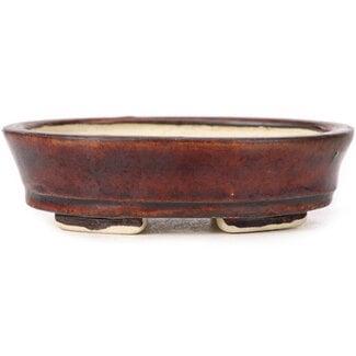 Seto 100 mm oval brown bonsai pot by Seto, Japan