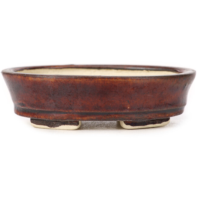 Vaso bonsai ovale marrone di Seto - 100 x 85 x 25 mm