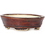 Vaso bonsai ovale marrone di Seto - 100 x 85 x 25 mm