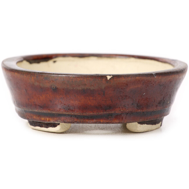 Maceta de bonsái marrón ovalada de Seto - 100 x 85 x 25 mm