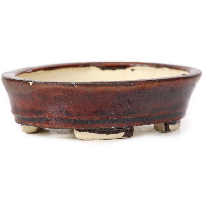 Pot à bonsaï ovale marron par Seto - 100 x 85 x 25 mm