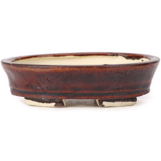 Pot à bonsaï ovale marron par Seto - 100 x 85 x 25 mm