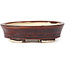 Oval brown bonsai pot by Seto - 100 x 85 x 25 mm