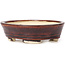 Vaso bonsai ovale marrone di Seto - 100 x 85 x 25 mm