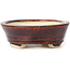 Vaso bonsai ovale marrone di Seto - 100 x 85 x 25 mm