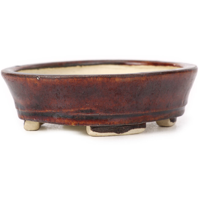 Maceta de bonsái marrón ovalada de Seto - 100 x 85 x 25 mm