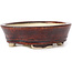 Vaso bonsai ovale marrone di Seto - 100 x 85 x 25 mm