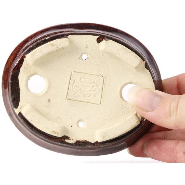 Pot à bonsaï ovale marron par Seto - 100 x 85 x 25 mm