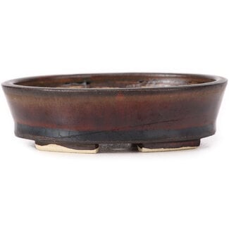 Seto 95 mm oval brown bonsai pot by Seto, Japan