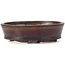 Vaso bonsai ovale marrone di Seto - 95 x 85 x 30 mm