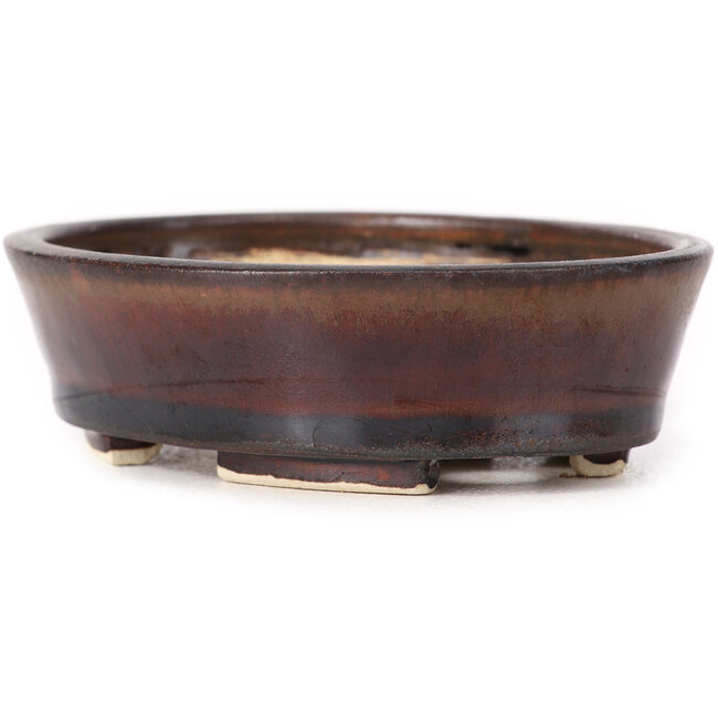 Maceta de bonsái marrón ovalada de Seto - 95 x 85 x 30 mm
