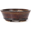 Vaso bonsai ovale marrone di Seto - 95 x 85 x 30 mm