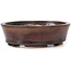 Vaso bonsai ovale marrone di Seto - 95 x 85 x 30 mm