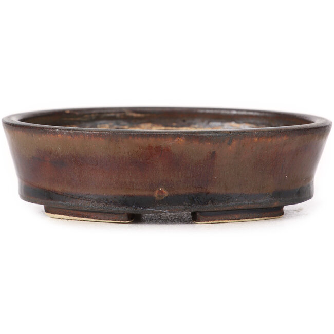 Pot à bonsaï ovale marron par Seto - 95 x 85 x 30 mm