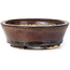Vaso bonsai ovale marrone di Seto - 95 x 85 x 30 mm