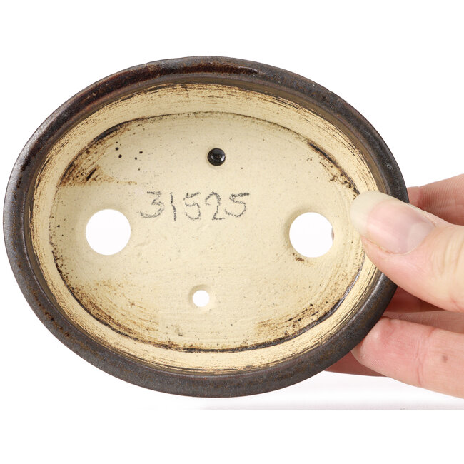 Maceta de bonsái marrón ovalada de Seto - 95 x 85 x 30 mm