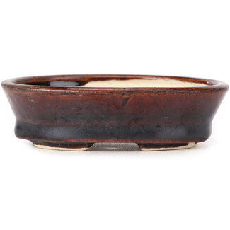 Seto 95 mm oval brown bonsai pot by Seto, Japan