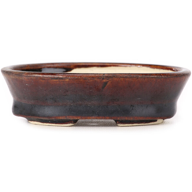 Pot à bonsaï ovale marron par Seto - 95 x 75 x 25 mm